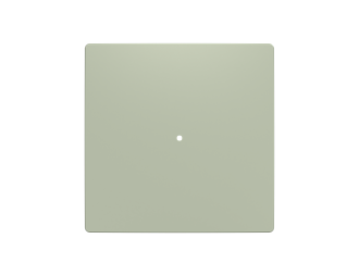 klawisz pojedynczy 1/1 ABB-free@home Zoni oliwkowy 6620T-A01000 243 2CHT621000A4243,