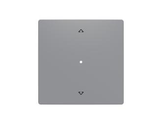 klawisz pojedynczy roletowy 1/1 ABB-free@home Zoni szary 6220T-A01002 241 2CHT621002A4241,