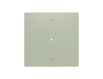 klawisz pojedynczy roletowy 1/1 ABB-free@home Zoni oliwkowy 6220T-A01002 243 2CHT621002A4243,