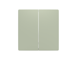 smart switch 2-klawiszowy Zoni oliwkowy 6221T-A01010 243 2CHT621010A4243,