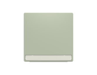 klawisz łącznika z polem opisowym Zoni oliwkowy 3559T-A00610 243 2CHT590610A4243,